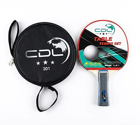 Paleta de ping pong  3 estrellas + estuche